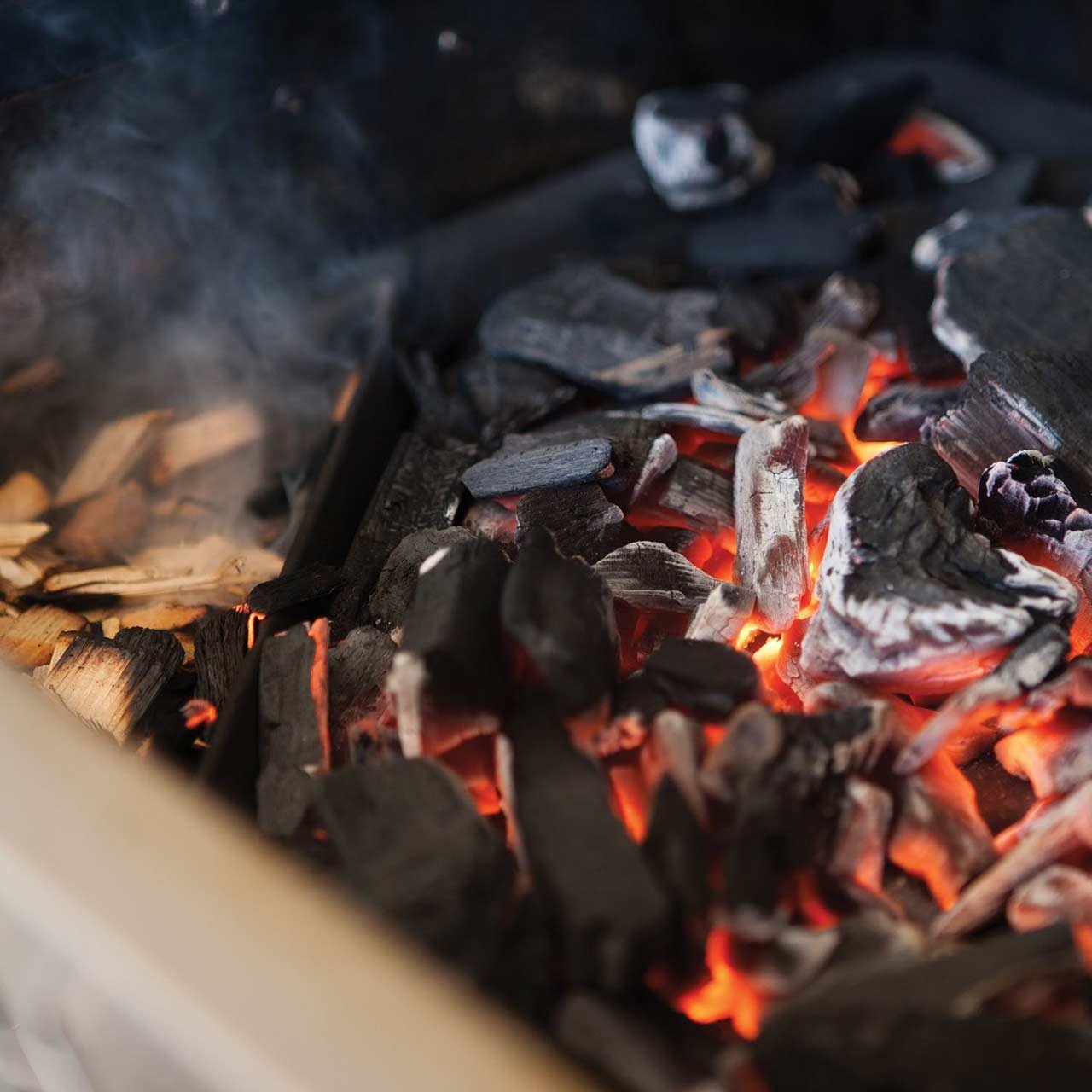 Napoleon Holzkohleeinsatz - Grillstar.deNapoleon HolzkohleeinsatzNapoleonGrillstar.de677320629162677327