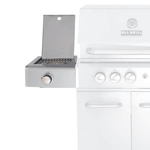 All`Grill Seitenteil Steakzone links, für Allrounder - Grillstar.deAll`Grill Seitenteil Steakzone links, für AllrounderALL'GRILLGrillstar.de3004041571003003