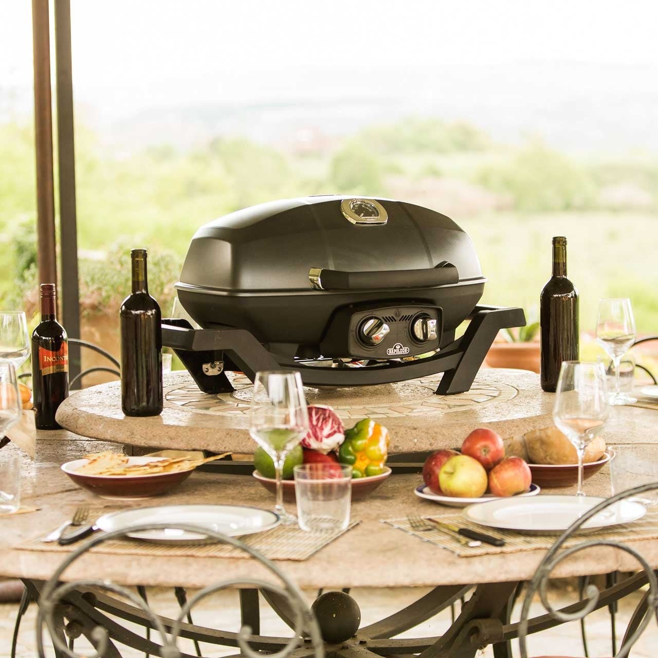 Napoleon TRAVELQ PRO285 - Grillstar.deNapoleon TRAVELQ PRO285NapoleonGrillstar.dePRO285 - BK0629162119261