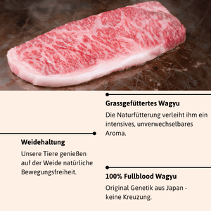 Premium Wagyu Paket – 100% Fullblood Wagyu aus Deutschland - Grillstar.dePremium Wagyu Paket – 100% Fullblood Wagyu aus DeutschlandLebensmittelMeat'n'FoodGrillstar.de
